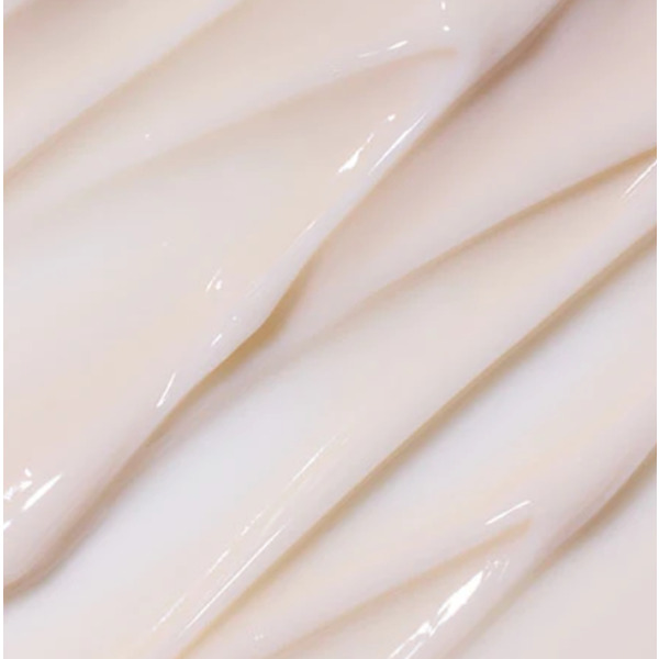 Омолоджувальний крем Innisfree Black Tea Youth Enhancing Cream 50 мл Зображення