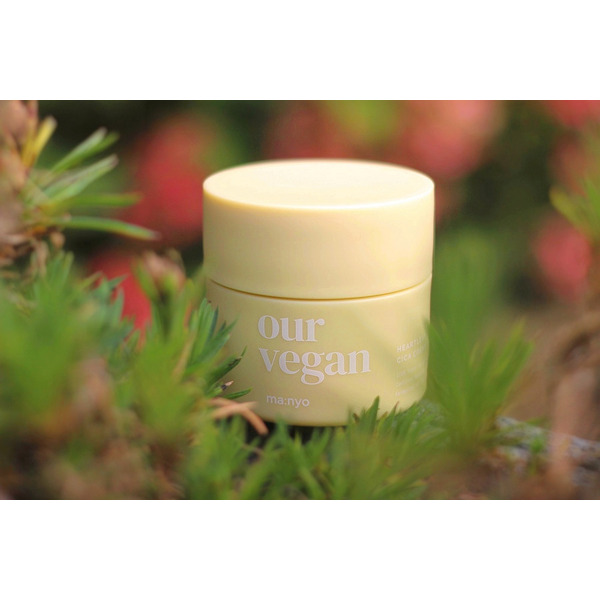Відновлювальний веганський крем Manyo Our Vegan Heartleaf Cica Cream 100 мл Зображення